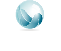 Domizen aide a domicile angers