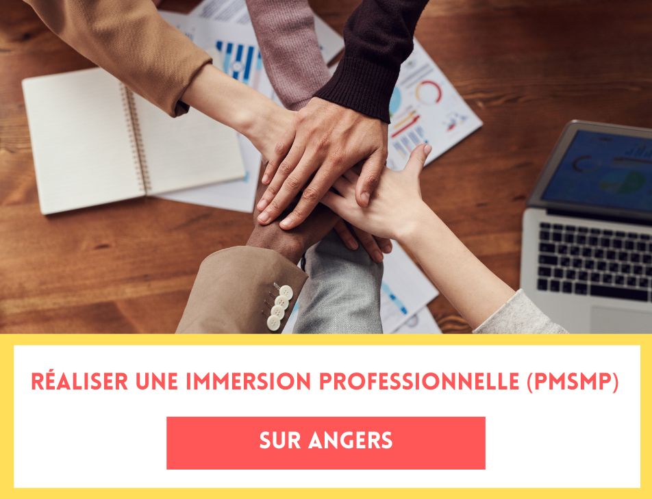 Image de Réaliser une immersion professionnelle (PMSMP) avec Domizen à Angers