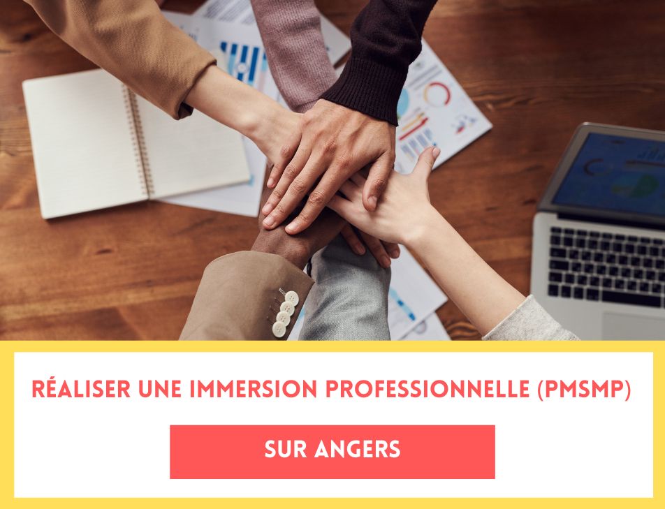 immersion professionnelle PMSMP